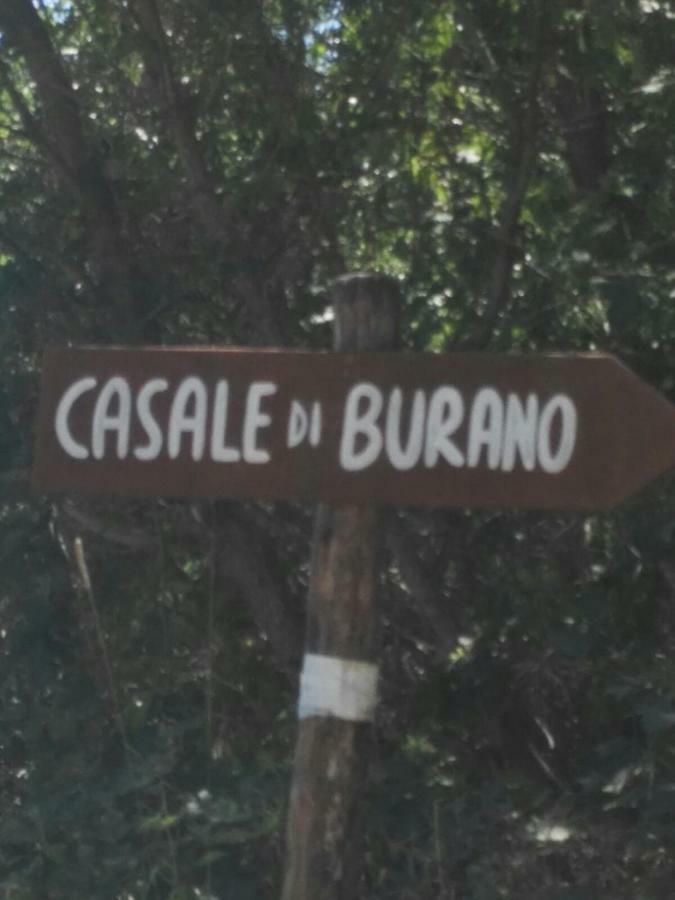 Casale Di Burano Διαμέρισμα Onano Εξωτερικό φωτογραφία