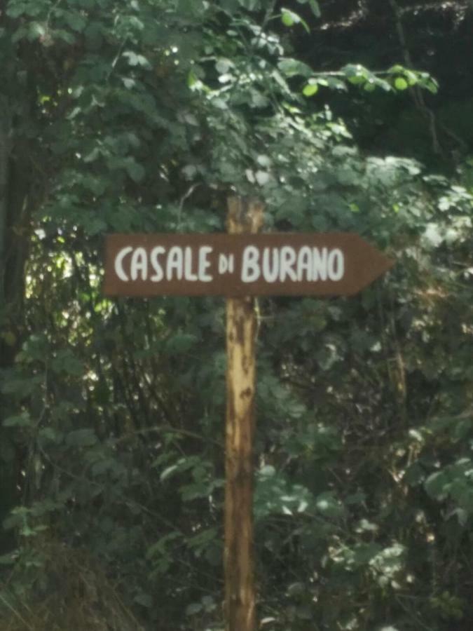 Casale Di Burano Διαμέρισμα Onano Εξωτερικό φωτογραφία