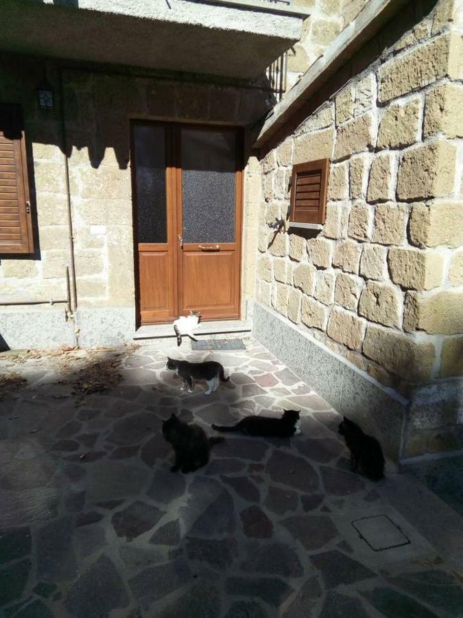 Casale Di Burano Διαμέρισμα Onano Εξωτερικό φωτογραφία